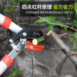 กรรไกรตัดกิ่ง Laozhixi ใบมีดเหล็ก SK5 ขนาด 60 มม. เส้นผ่านศูนย์กลางตัด 20-30 มม. ด้ามจับอะลูมิเนียมสีแดง อุปกรณ์ทำสวน - Product Image 4
