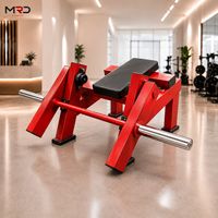 MRD-SH41 Appareil Commercial de Musculation Tibiale Antérieure Robuste à Charge de Plaques pour la Force des Membres Inférieurs en Salle de Sport