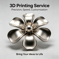Service d'impression 3D métal et plastique, modèle personnalisé fabriqué à partir de votre dessin et échantillon, MOQ 1 pièce, sans frais de moule