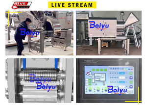Machine à découper la viande congelée à grande échelle Baiyu, idéale <span class=keywords><strong>pour</strong></span> la lyophilisation des aliments <span class=keywords><strong>pour</strong></span> animaux et la fabrication de saucisses - Product Image 5