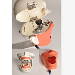 Laboratorio Phantom Head Dental manichino simulatore per la <span class=keywords><strong>formazione</strong></span> orale dentaria sedia inserzione-<span class=keywords><strong>scienza</strong></span> medica del prodotto - Product Image 4