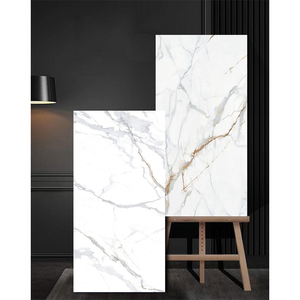 Giá của nhà sản xuất: 300*300/600*600mm gạch lát sàn màu trắng xám trong nhà với khả năng chống bám bẩn và tỷ lệ hấp thụ nước thấp - Product Image 6