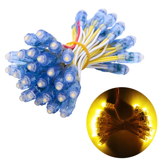 Hot Sale Factory Direct Sale 12V Led Pixel 12mm Single Color Christmas LED Light Strings IP68 Waterproof Landscape Lighting