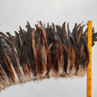 Plumes de coq naturelles demi-bronzées, enfilées et cousues, en gros pour garnitures de vêtements, costumes de carnaval et artisanat