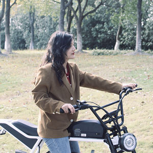 Cadre de vélo électrique longue portée, vitesse rapide, vélo électrique, pneu large, <span class=keywords><strong>moto</strong></span> Ebike, prix bas - Product Image 2