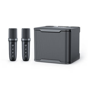 YS230 10w pilotes amplificateur haut-parleurs karaoké 3d Surround Subwoofer haut-parleur Portable pour chanter <span class=keywords><strong>sur</strong></span> téléphone et <span class=keywords><strong>TV</strong></span> - Product Image 2