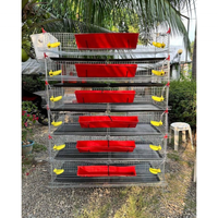 Poulailler à cailles empilable multi-niveaux pour les éleveurs de jardin, avec mangeoire automatique et plateau facile à nettoyer