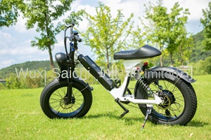 Nhà máy có nguồn gốc 20 inch 48V 1000W chất béo lốp xe đạp leo núi tích hợp 750W không chổi than pin lithium phía sau trung tâm Hợp kim nhôm tuyết - Product Image 6