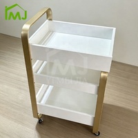Chariot mobile pour salon de beauté, outils de coiffure, soins du visage et spa, chariot pour technicien