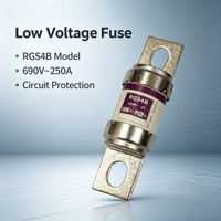 Fusible semi-conducteur haute vitesse RGS4B 690V 300A AR 50kA, fusible céramique à connexion par boulon IEC 60269-4 pour thyristor