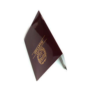 Carpetas de presentación impresas personalizadas, logotipo de la empresa, suministro de fábrica de China - Product Image 2