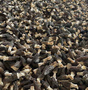 Champignons Morilles Entiers Séchés du Yunnan, Comestibles et de Qualité Supérieure, 1KG - <span class=keywords><strong>Prix</strong></span> Avantageux - Préférés des Acheteurs - Product Image 4