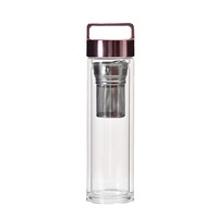 Infuseur de fruits à double paroi 450ml 500ml Bouteille de thé en verre transparent avec couvercle à poignée de couleur