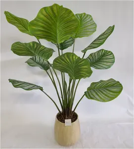 2021 nuovo design di interni piante artificiali di piccola dimensione verde artificiale calathea piante albero in vaso