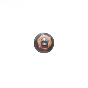 Inyector Common Rail para Volkswagen <span class=keywords><strong>Manka</strong></span> 0445120186 51101006115 07W130205A - Product Image 4