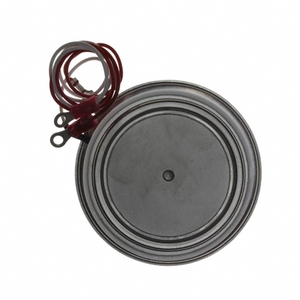 T9S0162003DH ชิ้นส่วนอิเล็กทรอนิกส์ใหม่และของแท้ ไทริสเตอร์ SCR MODULE 1.6KV 3142A TO-200 - Product Image 1