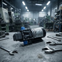 Pompa Diafragma Tekanan Tinggi Listrik Kecil DC12V 24V 100w 8LPM