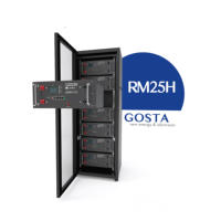 Gabinete de Almacenamiento de Energía de Alta Capacidad, de Alta Seguridad y Bien Diseñado, con Batería de Litio Ferrofosfato