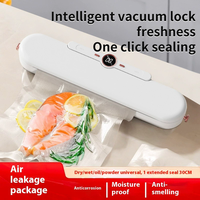 Machine de mise sous vide compacte, portable, automatique, alimentée par USB, faible bruit, en plastique, mini, capacité 1,0 L, largeur de scellage 30 cm, pour aliments