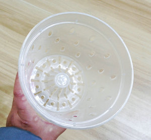 Kho Chậu Hoa Lan Trong Suốt Bền Chắc 5.5 Inch Có Lỗ Chậu Trồng Hoa Bằng Nhựa Chậu Treo Lỗ Đáy Trong Suốt - Product Image 5