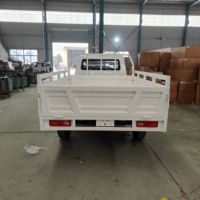 Camionnette électrique personnalisable avec mini-benne, véhicule utilitaire à énergie nouvelle 4000W pour livraison urbaine
