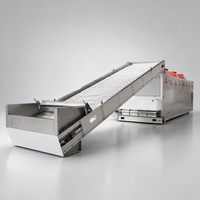 Automatische Citrusvruchten Schil Gaasbanddroger Machine Met Plc Controle Voor Gedroogde Fruitchips Continu Drogen Energiebesparing