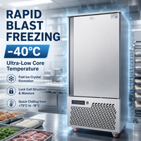 Congélateur à air pulsé commercial en acier inoxydable 304, congélateur rapide avec contrôleur numérique pour hôtel, restaurant, usine alimentaire