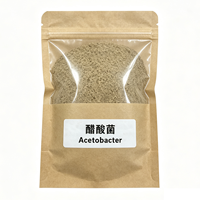 Acetobacter 10 milliards UFC/g Poudre de bactéries de qualité alimentaire Culture de démarrage pour l'oxydation de l'éthanol et la fermentation du vinaigre 25kg Kraft