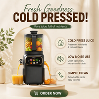 Extracteur de jus électrique à froid OEM/ODM, goulotte d'alimentation de 156 mm, sans BPA, à mastication lente, certifié CE/RoHS, direct usine, facile à utiliser pour la maison et la cuisine