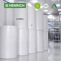 Papel Higiénico Jumbo de Pulpa de Madera Virgen de 2 Capas, Rollo Madre, para Fabricación de Papel Higiénico