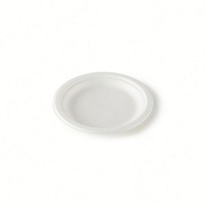 Assiette jetable biodégradable et compostable en bagasse de canne à sucre à 3 compartiments de 10 pouces pour l'emballage alimentaire de fêtes et de buffets - Product Image 4