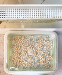 En gros Populaire Maison de Plantation De Légumes PP En Plastique Durable Germination Plateau - Product Image 4