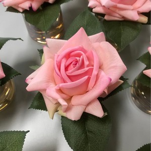 โคเต้ นัวร์ โรส เซนเทด ดิฟฟิวเซอร์ 500 กรัม ชุดของขวัญน้ำหอมตกแต่งห้องนอน - Product Image 5