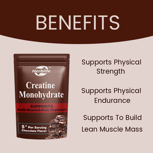 Ventes chaudes OEM/ODM, poudre de créatine monohydratée personnalisée pour adultes, croissance musculaire, 500 g par sachet, saveur chocolat - Product Image 2