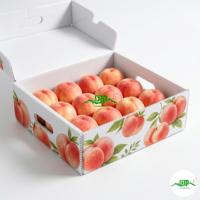Op maat gemaakte gerecyclede materialen golfkartonnen PP fruit- en groentekartonnen verzenddozen met gestanste ventilatiegaten en versterkte hoeken
