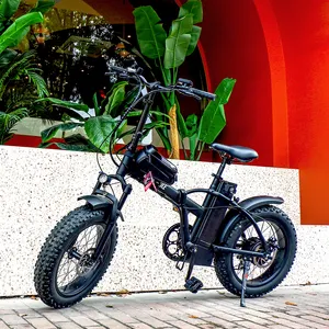 2024 2024新款轻型廉价电动自行车14英寸电动自行车48V 6AH 8Ah电池便携式Ebike折叠电动自行车自行车