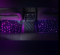 Tapis de sol de voiture universel pour allume-cigare 12V LED avec tapis de pied automatique antidérapant en fibre optique Starlight personnalisé