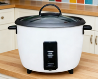Mini cuiseur à riz électrique portable, appareil électroménager automatique avec spatule et tasse doseuse, boîtier en titane pour usage domestique