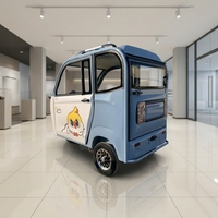 Tricycle électrique entièrement fermé à 2 portes, cabine fermée, 3 roues, véhicule électrique pour adultes, pour les trajets familiaux