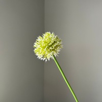 Oignons verts longs, feuilles de pissenlit, boules vertes duveteuses, tiges pliables, fleurs artificielles en peluche