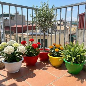 Maceta Redonda de Plástico Colorida para Plantas de Interior y Exterior, Jardinera Ligera y Duradera con Diseño en Relieve, Tamaño Pequeño - Product Image 5