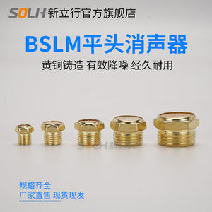 Silencieux pneumatique à écoulement réglable en laiton BSL-M5/01/02/03/04/06/1 pouce, dispositif de réduction du bruit - Product Image 5