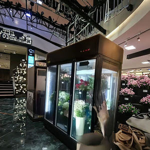 Armoire florale verticale Tokyo HIBIYA KADAN, commandes numériques, verre anti-condensation, dégivrage automatique pour la préservation de l'ikebana - Product Image 1