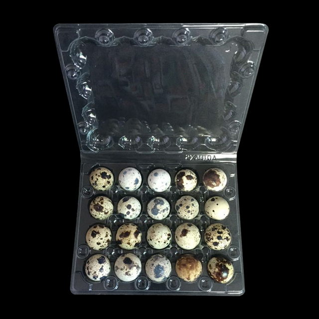 Lot De 10 Boîtes à Œufs De Caille 24 Grilles - Plateaux Transparents En PET Avec Couvercle Pour Œufs De Caille, Faisan Et Petits Œufs