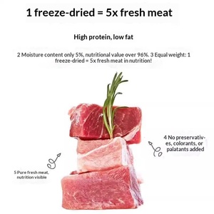 Snack Liofilizzati di Petto d'Anatra per Gatti e Cani, Ricchi di Proteine, Senza Cereali, 100% Carne Fresca Pura, Disponibile OEM/ODM - Product Image 5