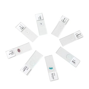 25 types de lamelles microscopiques pour plantes, faciles à focaliser, adaptées aux sciences biologiques des élèves du primaire et du secondaire - Product Image 1