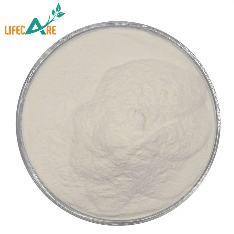 Lifecare Supply Enzimas orgánicas Amilasa Enzima amilasa en polvo de grado alimenticio Enzima alfa amilasa