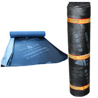 Construction Bâtiment SBS/APP Asphalte Modifié Membrane Imperméable Al Foil Couvert