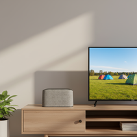 ANTOP Antenne TV intérieure DVB-T2 à panneau incurvé en plastique, options de montage sur table ou mural, gain de 28 dB, longue portée, réception TV gratuite