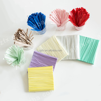 Attaches métalliques torsadées en PET Fanxing OEM ODM personnalisées, couleur macaron pastel, surface lisse, pour emballage alimentaire et bonbons d'Halloween